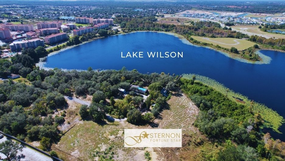 Lake-Wilson